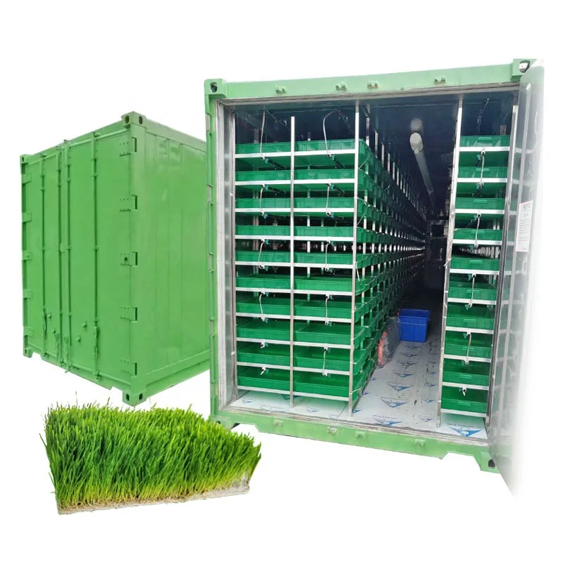 Plant Seedling Equipment Fodder Growing System Hydroponic Farm Container for Forage Grass
