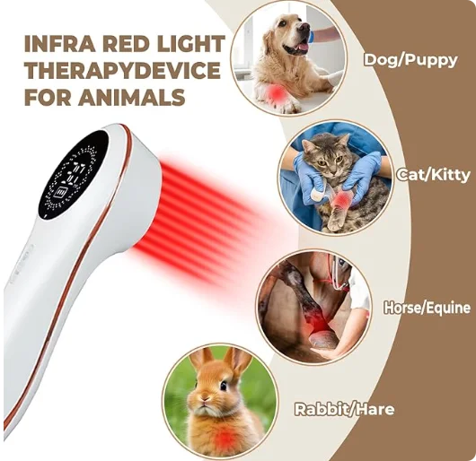 

STLFFactory New Hot Sale LaserssTherepy Device Home Handheld LaserssDevices LaserssMonitor 650nm Elder Pets Health Care LaserssK