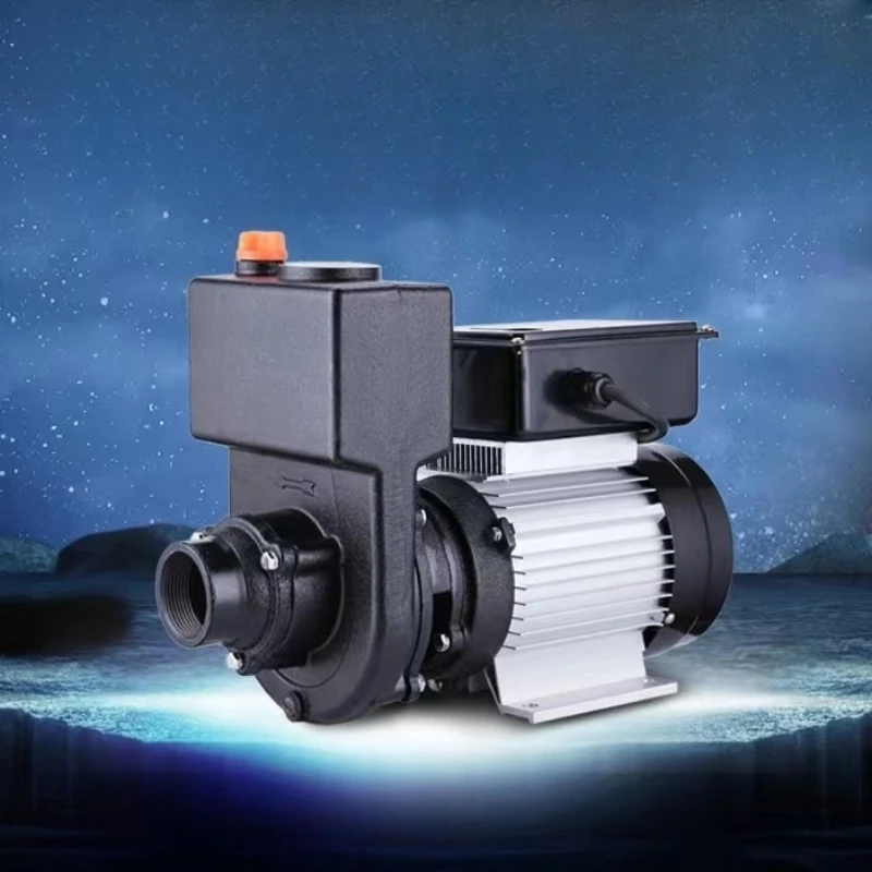 

Self-priming centrifugal pump sanitation truck mixer truck water pump high lift battery car 2 inches large flow