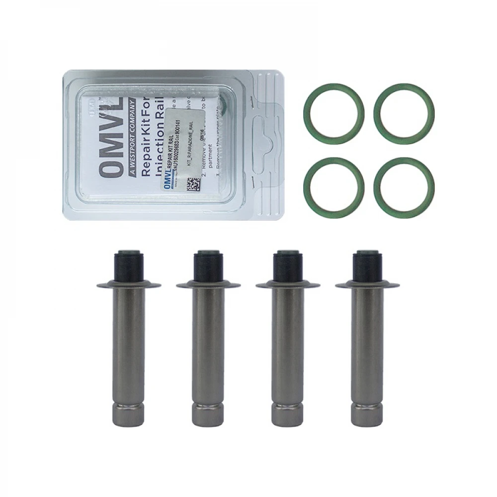 For Repair Kit Of Injectors OMVL