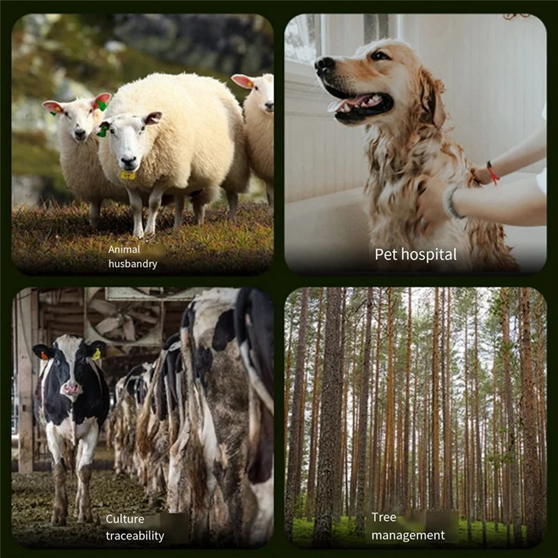 

【Must-Haves】Animal Chip Reader 134.2/125Khz Dual Frequency Stores 800 Data Color Screen For Cats Dogs And Livestock