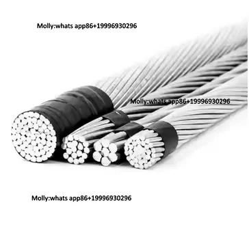 Wolf High Voltage ACSR Conductor Steel Reinforced Bare Overhead Aluminum Wire 36kV/10kV 50mm to 1000mm