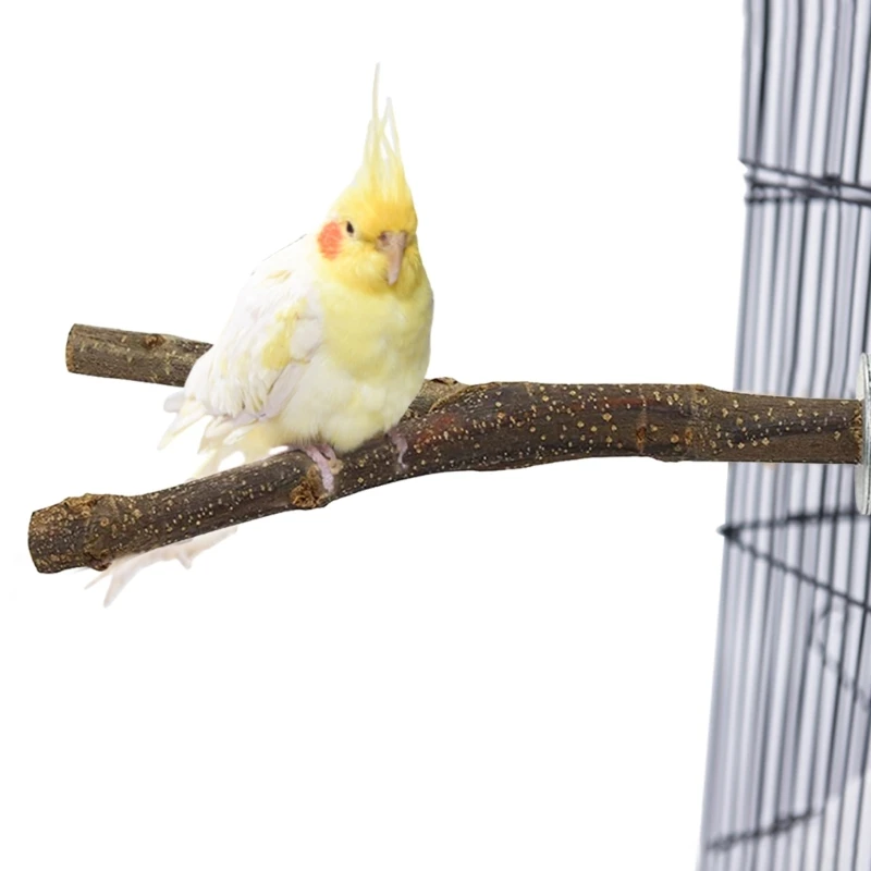 Thumbnail 4 - #36 Latest Bird Ladders & Perches Offers