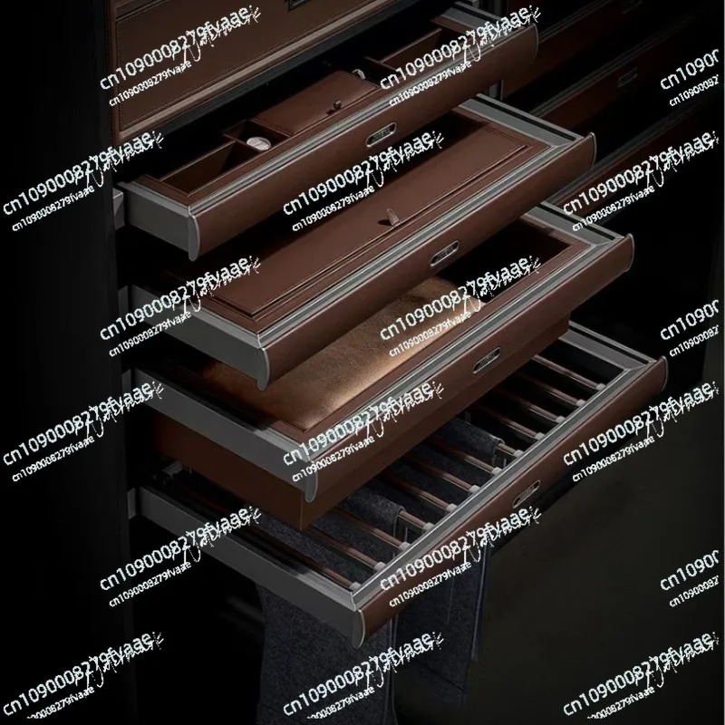 Built-in jewelry box in wardrobe, drawer-type pants rack, cloakroom, pull basket, telescopic lattice