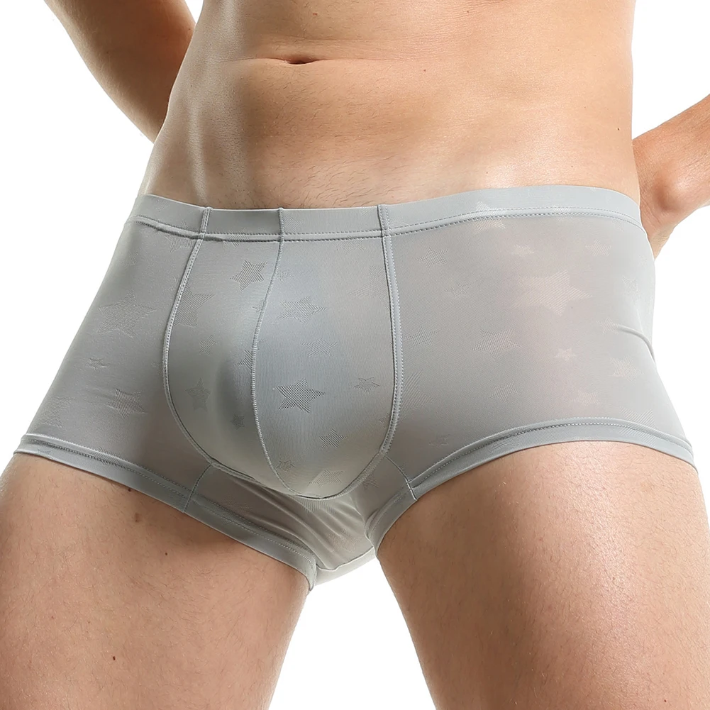 Sexy Mens Trunks Thin Translucent Underwear Sexy U Convex Pouch  Shorts See-throughs Briefs Underpants Panties Homme