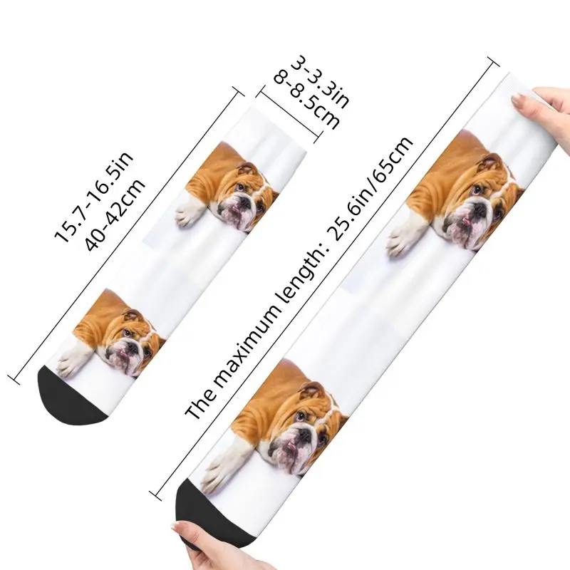 Calcetines con estampado 3D para hombre y mujer, medias deportivas cálidas con estampado de Bulldog Inglés y británico, a la moda, para amantes de los perros y baloncesto