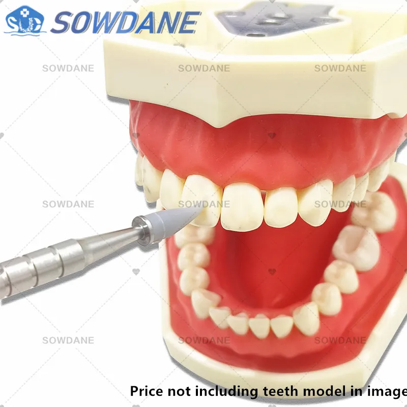 

Dental Stainless Steel handle Shaping Silicone Soft Head Adhesive Tools For Porcelain Teeth Composite Cement Resin Brush Pens