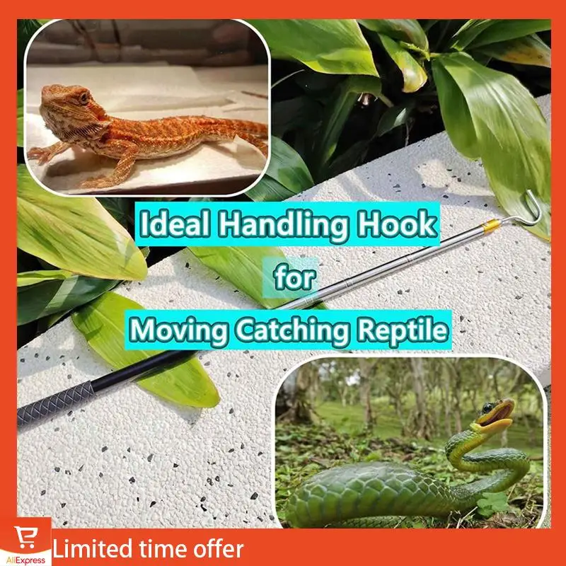 

Fresh 5Pcs 61Inch Snake Hook Reptile Catcher Stick Pole,Snake Handling Tool Kit For Rattlesnakes Python Copperhead Removal
