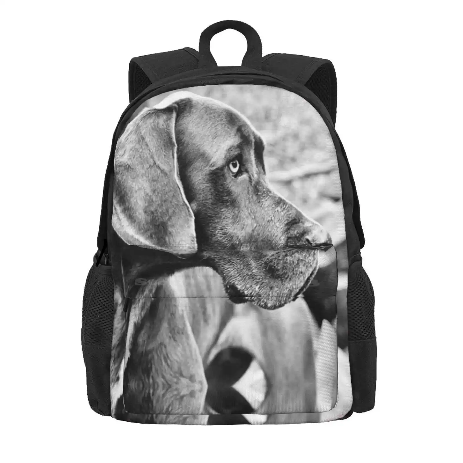 Blue Black Great Dane Hot Sale Schoolbag Backpack Fashion Bags Great Dane Greatdane Brindle Black Fawn Mantle Merle Boston Dogs