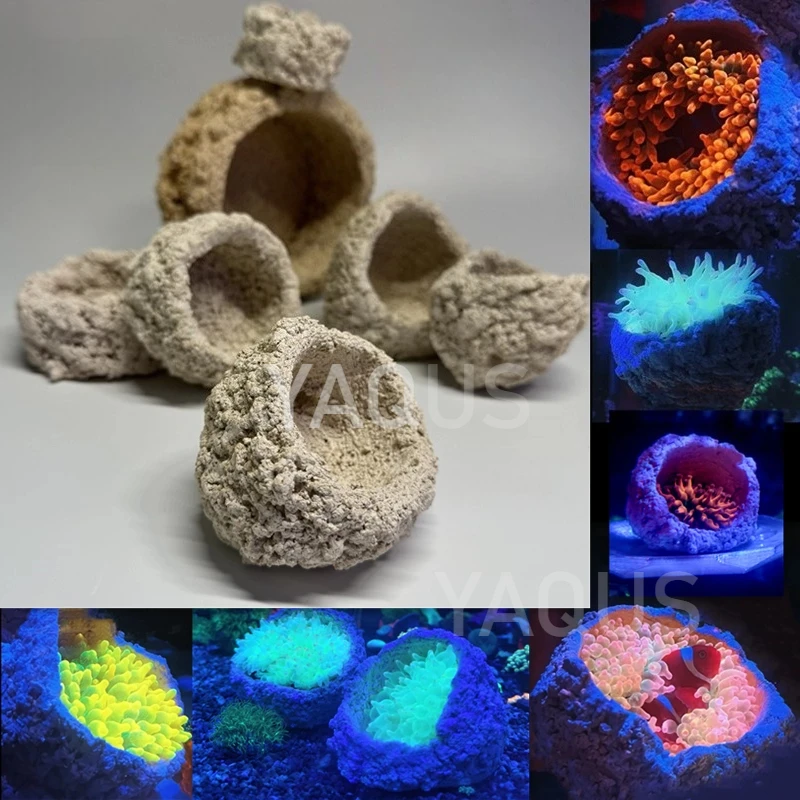 Coral Base Shelter DIY Aquarium Decoration Natural Stone Fish Tank Ornament for Reef Anemone Clownfish Hideout