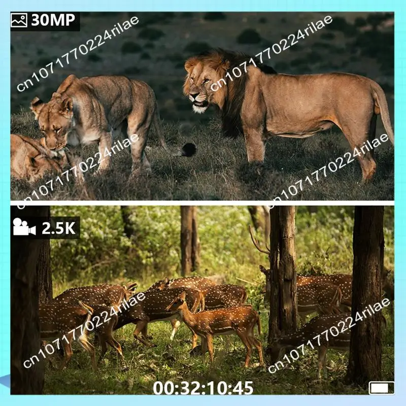 A17Z 2.5K HD Digitale Verrekijker HD Foto En Video Digitale Verrekijker Outdoor Infrarood Nachtzicht Telescoop