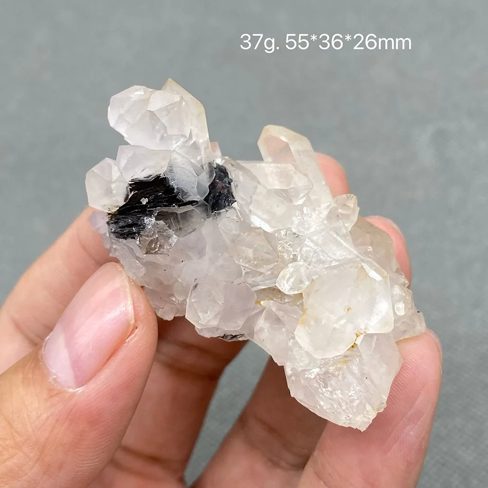 100% Natural Specular hematite and crystal symbiosis mineral specimen crystal stones and crystals quartz healing crystal
