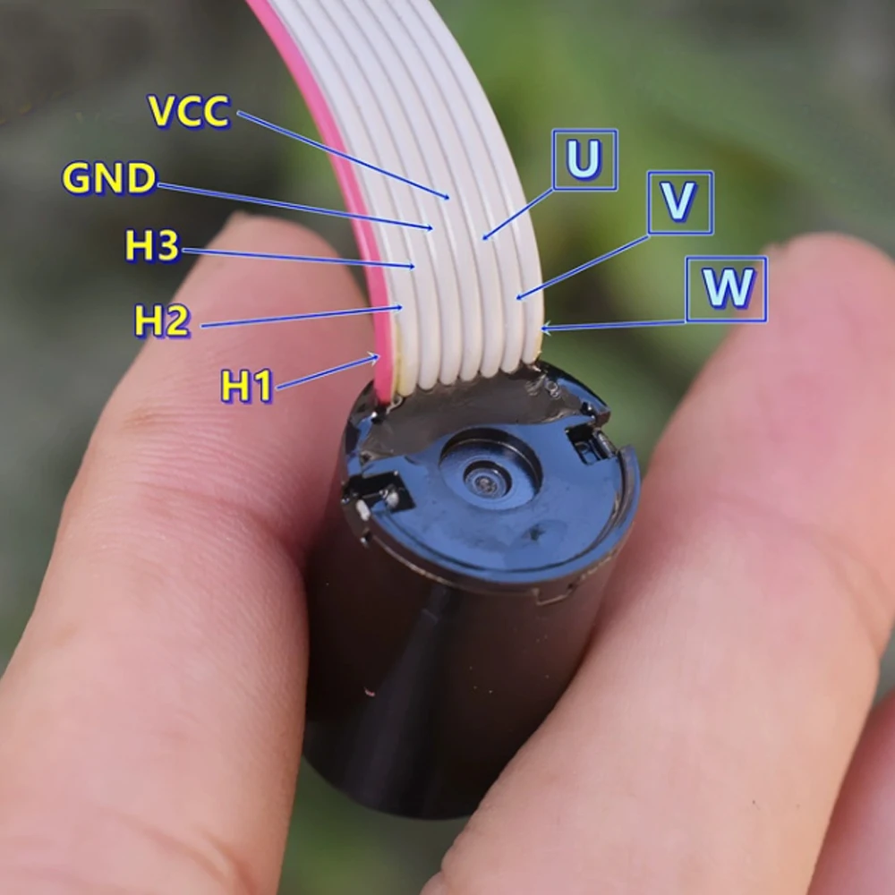 12V 18000RPM Precision Rare Earth Strong Magnet Lengthened Micro Brushless Motor 16MM External Rotor Brushless Motor With Hall