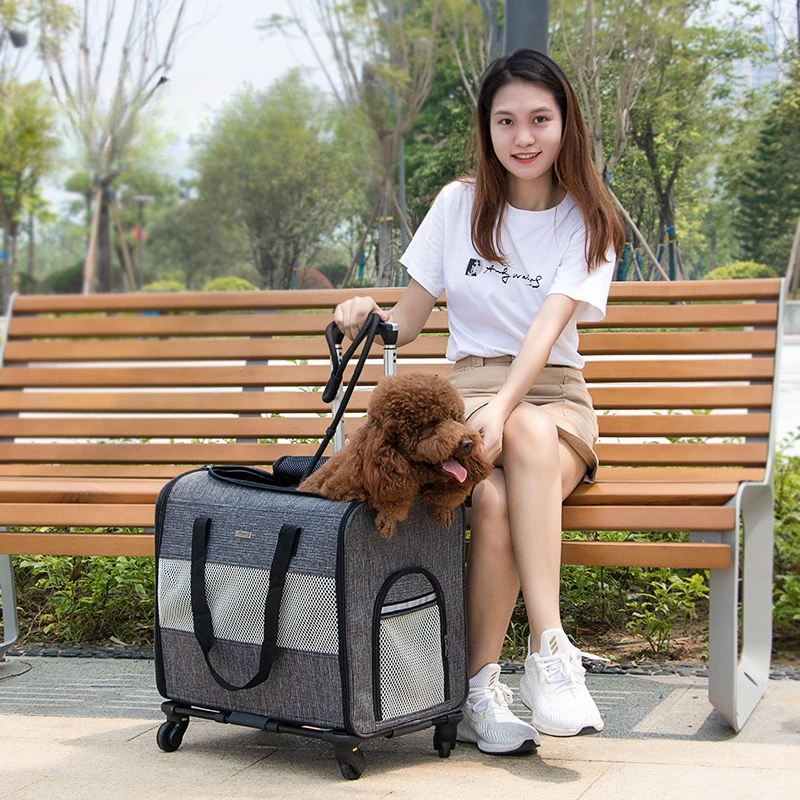 

Professional Pet Trolley Bag for Cats Dogs Carry Going Out Multi Functional Trolley Box Foldable Pet Cat Bag Space Capsule Bag