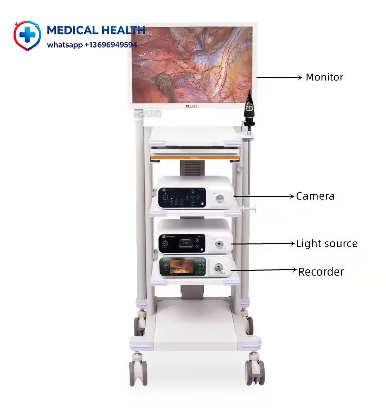 4KEndoscopic Video Recording Device, Minimally Invasive Visual Auxiliary Instrument for Daily Inspection & Observation Scenarios