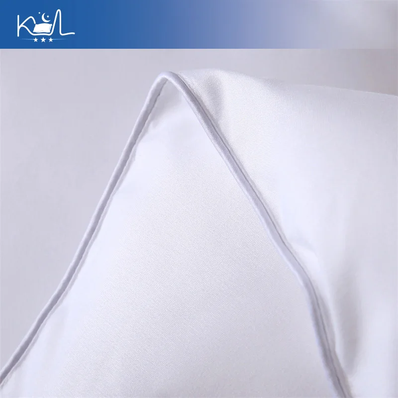 Five-Star Hotel Goose Down Duvet 3kg Thickened Fluffy Winter Comforter Spring Autumn Quilt Single Double Bed