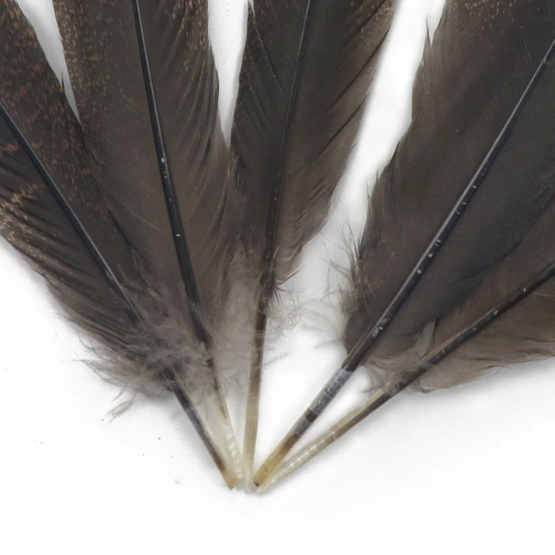 Piume d'aquila naturali 10 pezzi Piume lunghe di tacchino grandi per artigianato Plumas Accessori di carnevale Decorazione di nozze