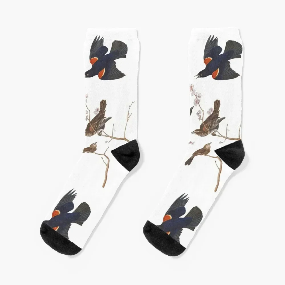 Red-winged Blackbird / Vintage birds prints and patterns Socks Rugby essential Woman Socks Men's