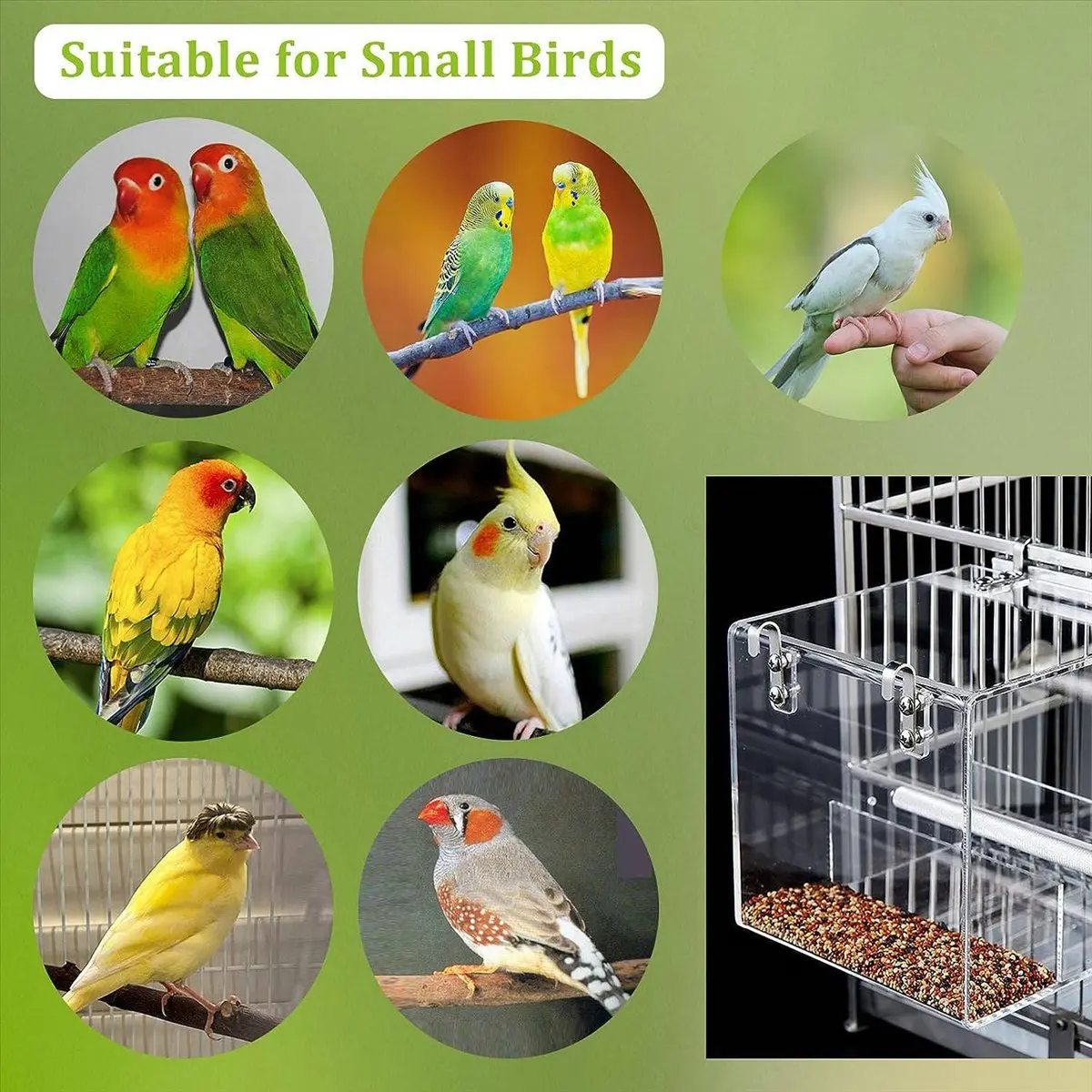 No Mess Bird Feeder for Cage Bird Feeder Automatic Bird Feeder for Cage, Acrylic Bird Feeder Parrot Cage Food Feeder-A51M
