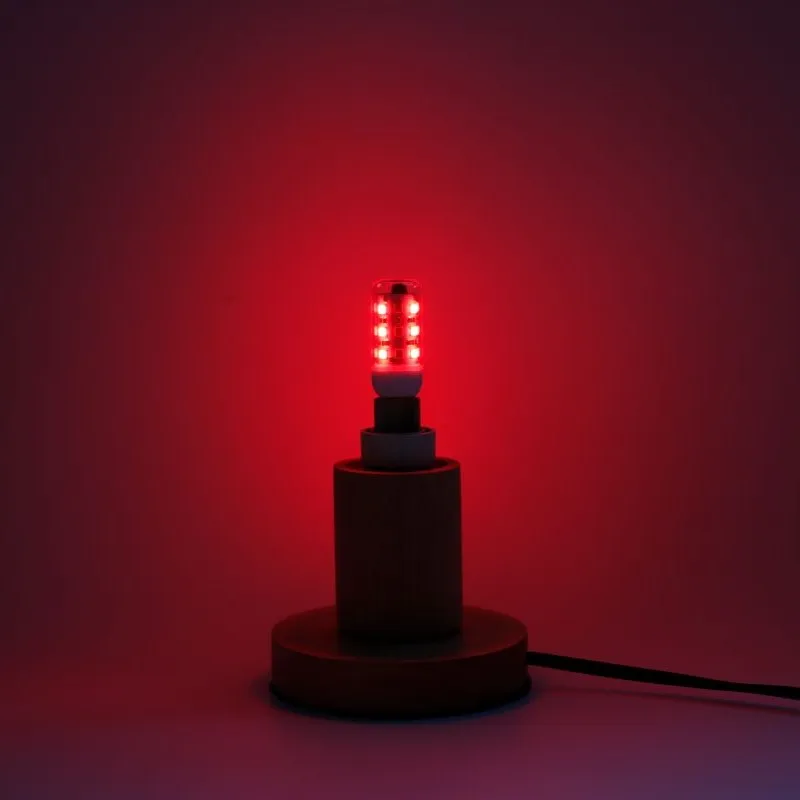 AC100-240V RGBWW G9 LED Bulb with IR 21key remote controller