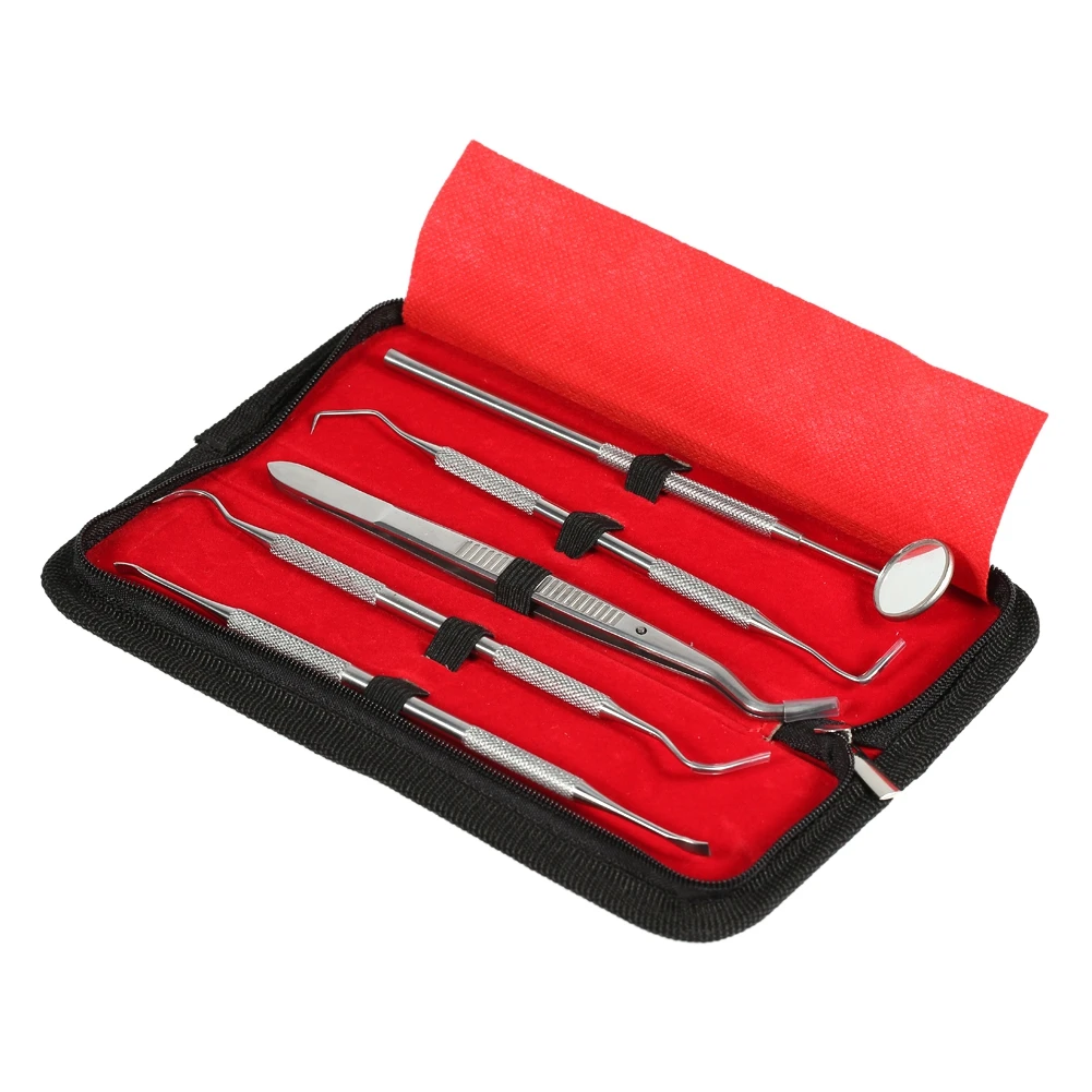 5Pcs/set Dental Instrument Tools Kits With Case Dental Probe Dentist Scaler Mirror Plier Tooth Scraper Oral Hygiene Care Clean