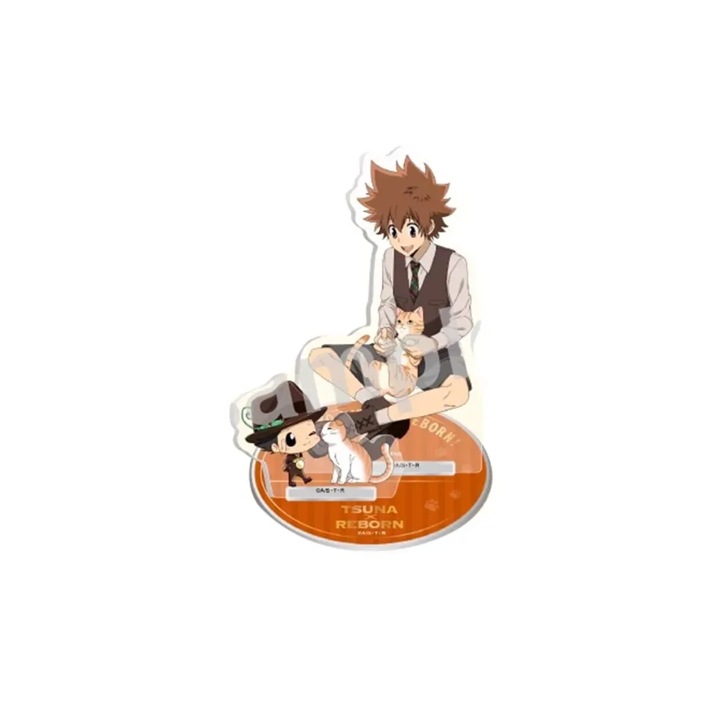 HITMAN REBORN Acrylic Stand Tsunayoshi Sawada Figure Display Anime Collection Desk Decoration Ornament Accesorios Friend Gift