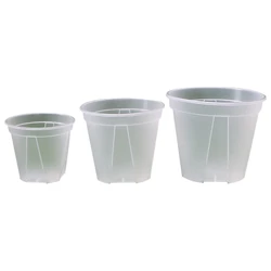 Slotted Clear Plastic Plant Pot, Indoor Succulent Herb Planter, 12 cm, 15 cm, 18cm