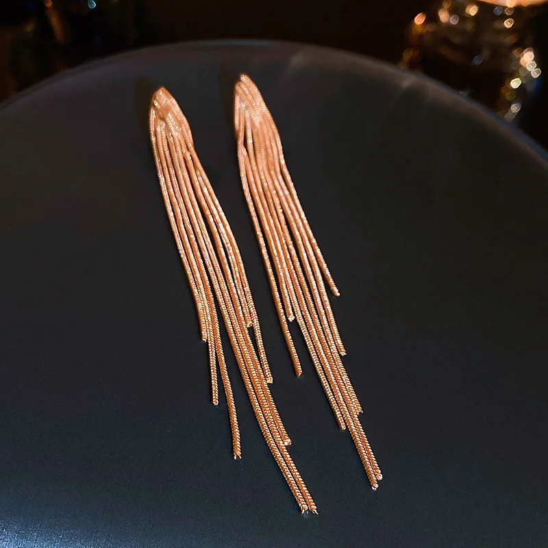 Chain Tassel Long Earrings for Women Light Luxury Premium Dangle Earrings Exaggerated Fashion Design Statement  Jewelry