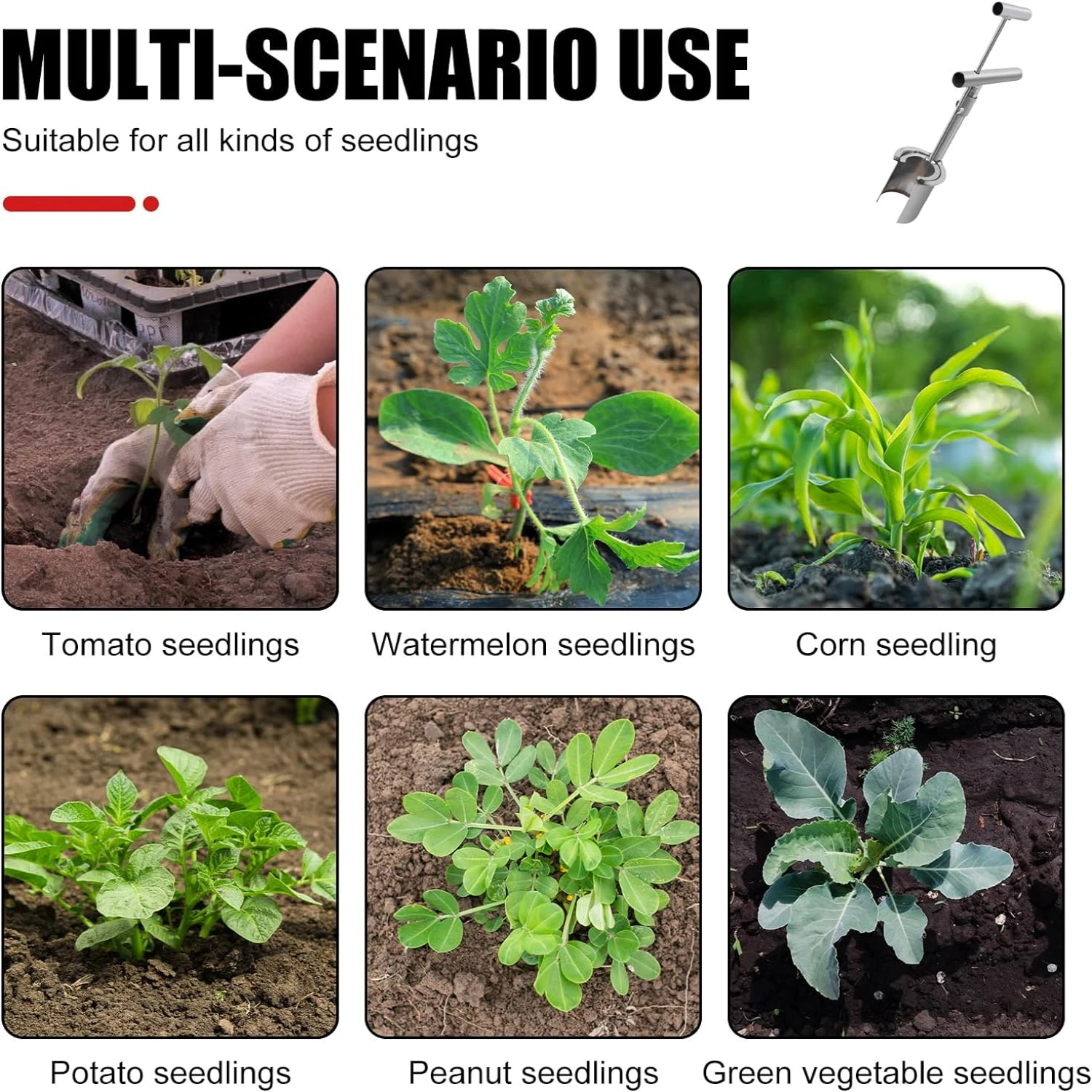 Sturdy and Highly Efficient Stainless Steel Handheld Bulb Planter Tool for Easy Digging in the Garden. Premium Quality Soil Samp