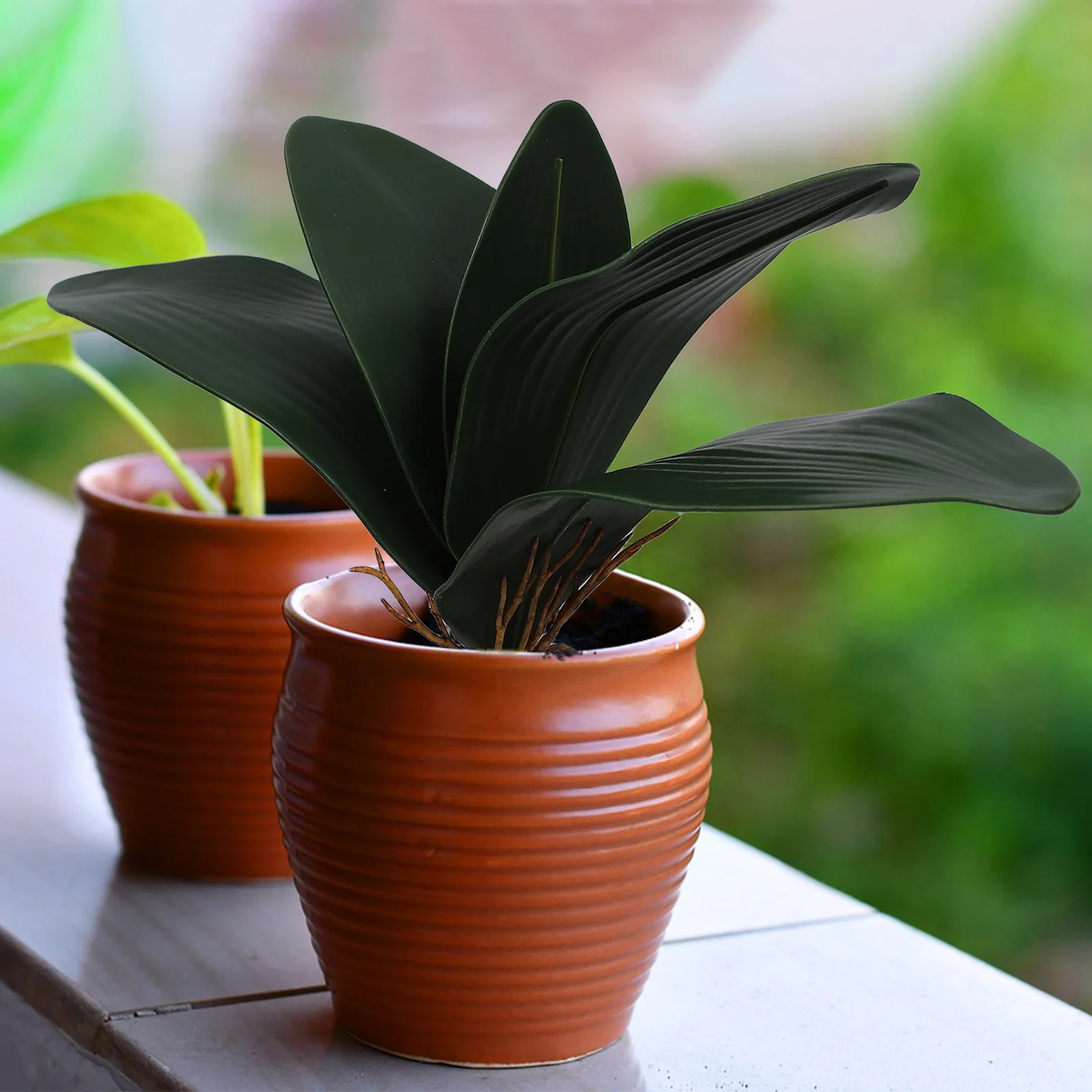 

Phalaenopsis Orchid Leaf Branch Green Eva Foam 29cm Suitable for Home Office Banquet Parties Artificial Orchid Leaves