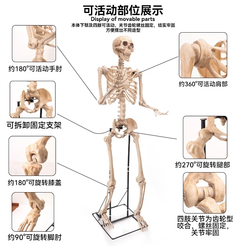 Хэллоуин Череп Скелет День Мертвых Очень Большой Скелет Украшение 2,2 м