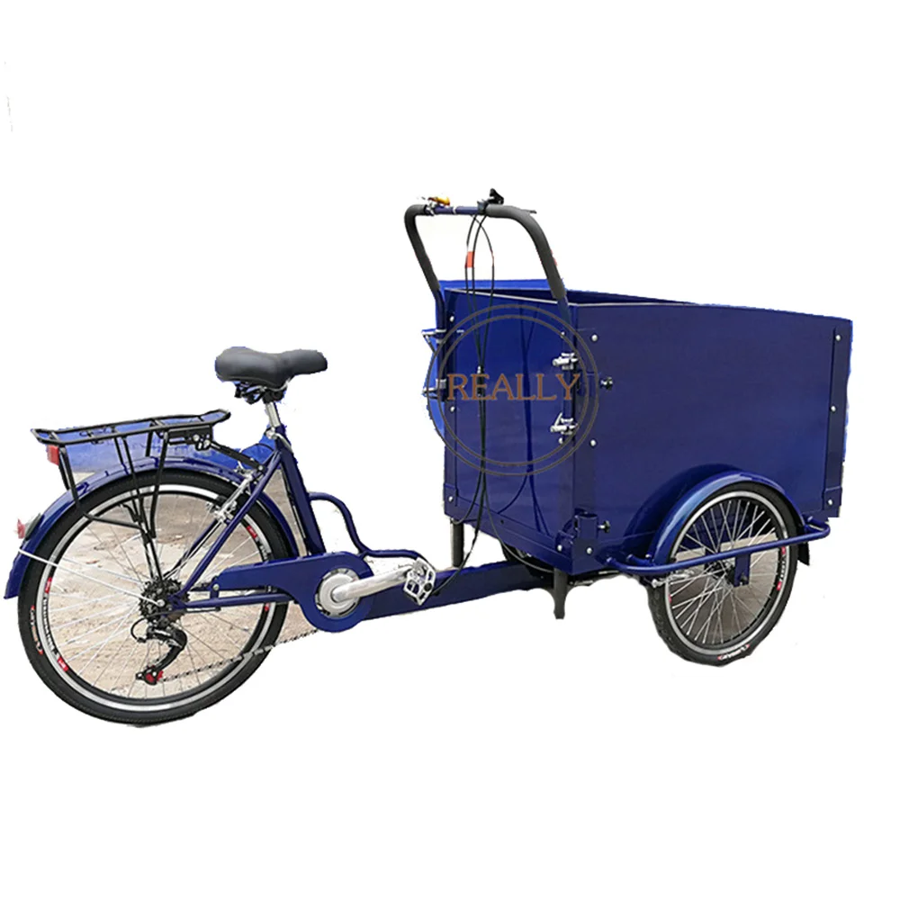 Classic 3 Wheels Electric Customized OEM Pedal Carrying Children Family Tricycle Adult Cargo Bike Child Seat Bike