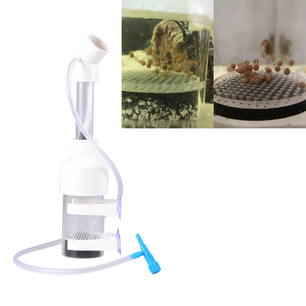 Incubadora de peces, vaso, incubadora de acuario, incubadora, huevos cíclidos, circulación de agua, tanque de cría de peces, suministros para mascotas