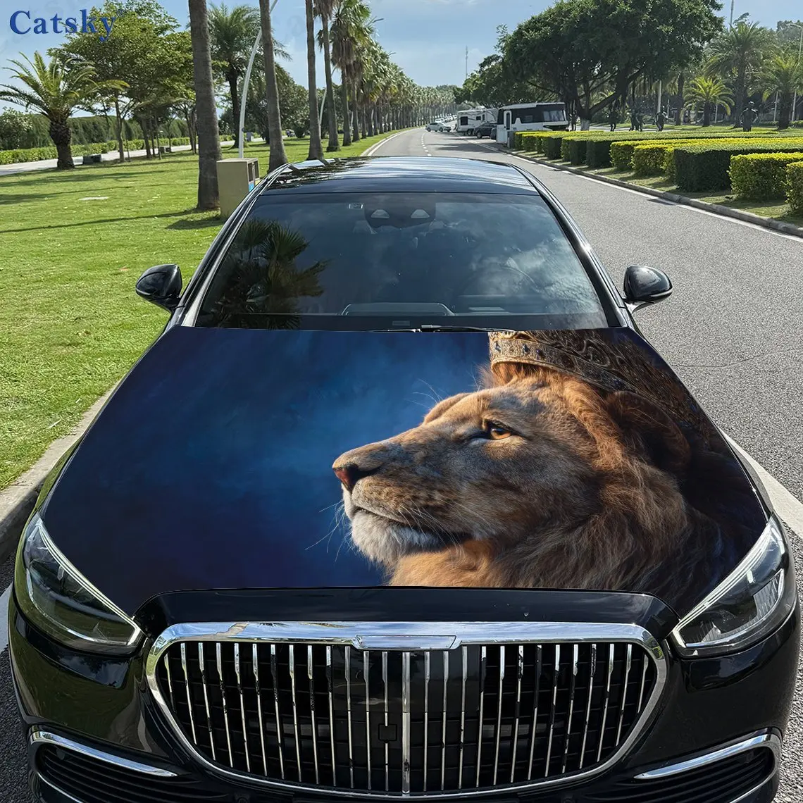 Beautiful Lion Prin…