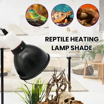 Reptile Heat Lamp Set 1