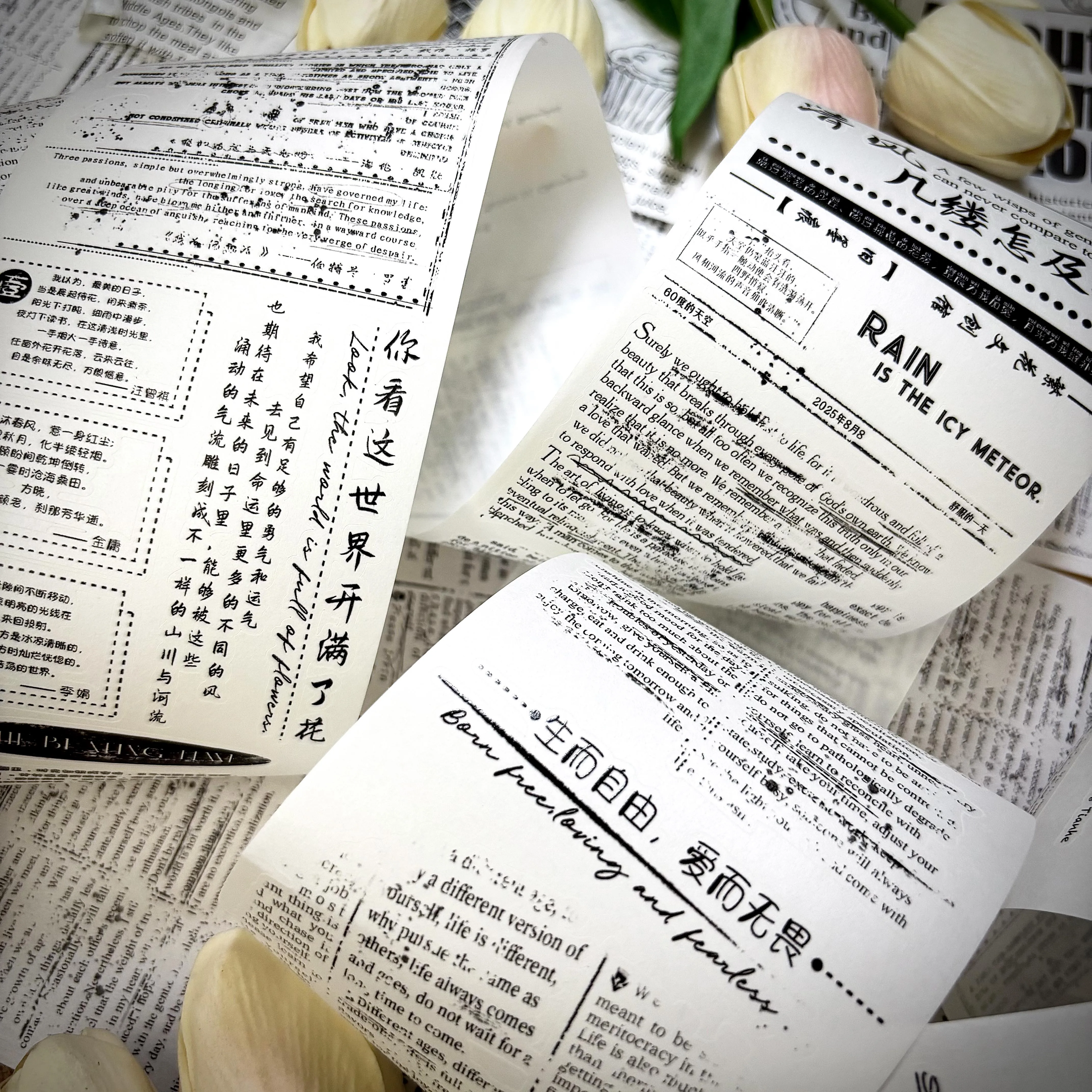 

Основная текстовая лента Washi Journal ПЭТ-лента для высечки