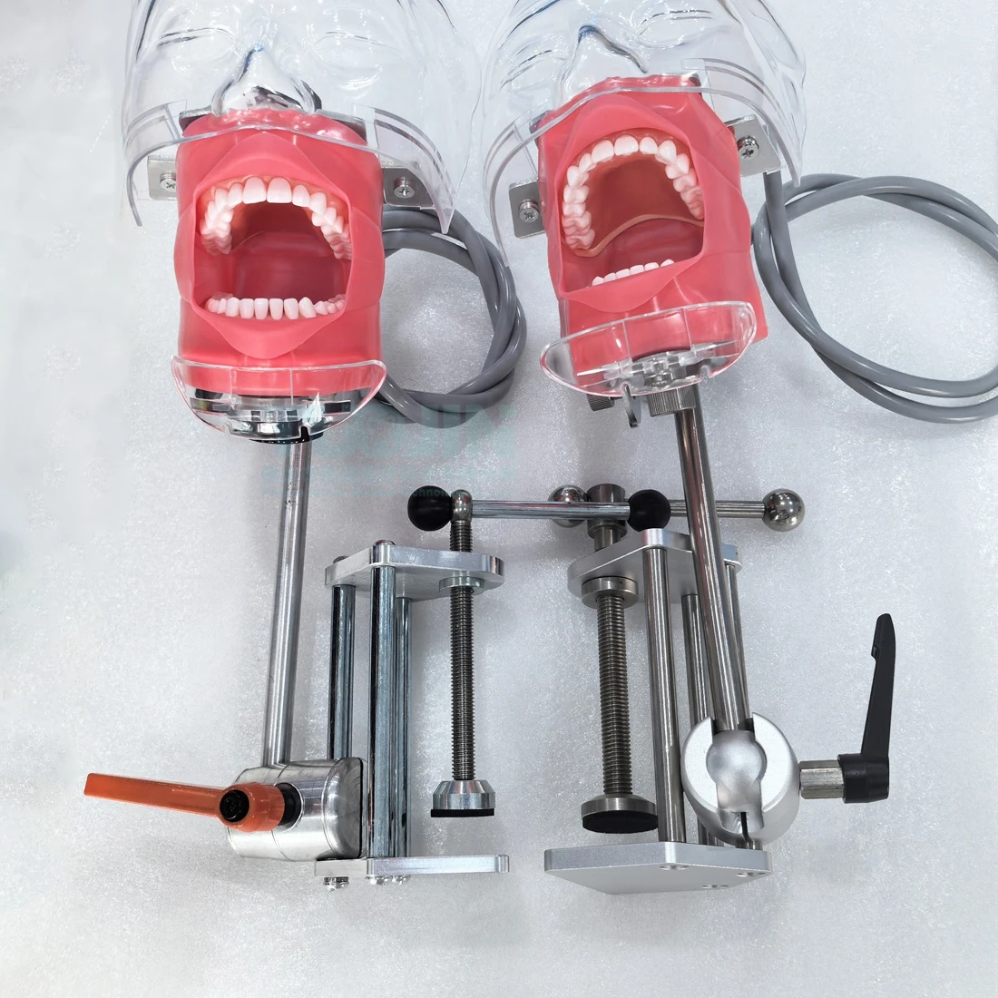 

Модель головы зажимного типа стола, стоматологический симулятор, фантомная манекен и зубы, учебная практика по обучению зубов, исследовательское оборудование