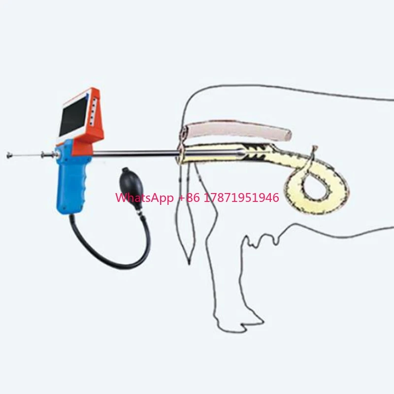 Upgrade Visual Endoscope Sperm  Artificial Insemination Device Animal Cattle Cow Artificial Digital AI  For Cow Goat Sheep