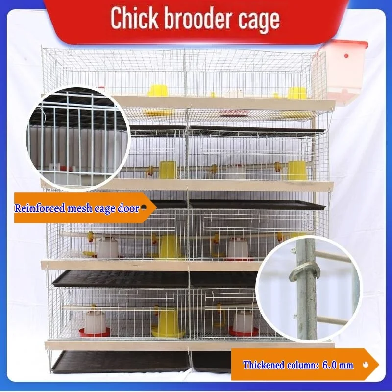 High Quality PVC Brooder, Electric Poultry Chicks Heater, Laboratory and Home Use, 200W Thermostat Control, Durable and Safe