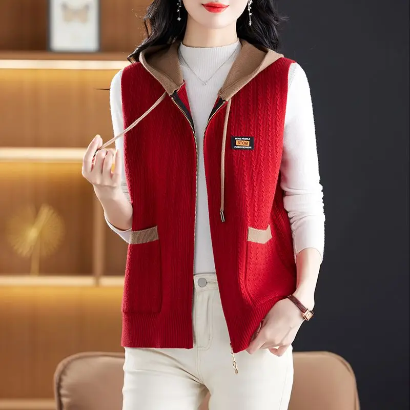 

Шикарный вязаный жилет с капюшоном для мам среднего возраста, свободный свитер большого размера, кардиган, весенне-осенний модный свитер для поездок на работу...