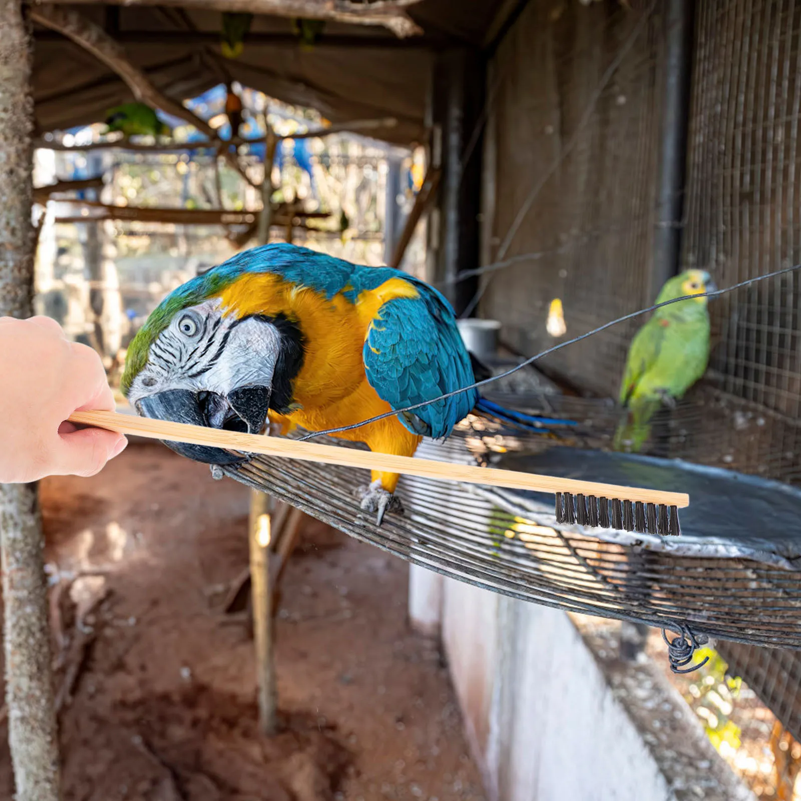 

2Pcs Bird Cage Cleaning Brush Set Easy to Use Durable Wood Stainless Steel Materials Ideal for Bird Droppings Cleaner Household