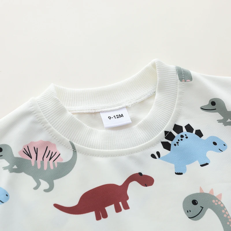 Ensemble à manches longues et col rond pour nourrissons et tout-petits, imprimé dinosaure de dessin animé, deux pièces pour garçons et filles, 2 pièces
