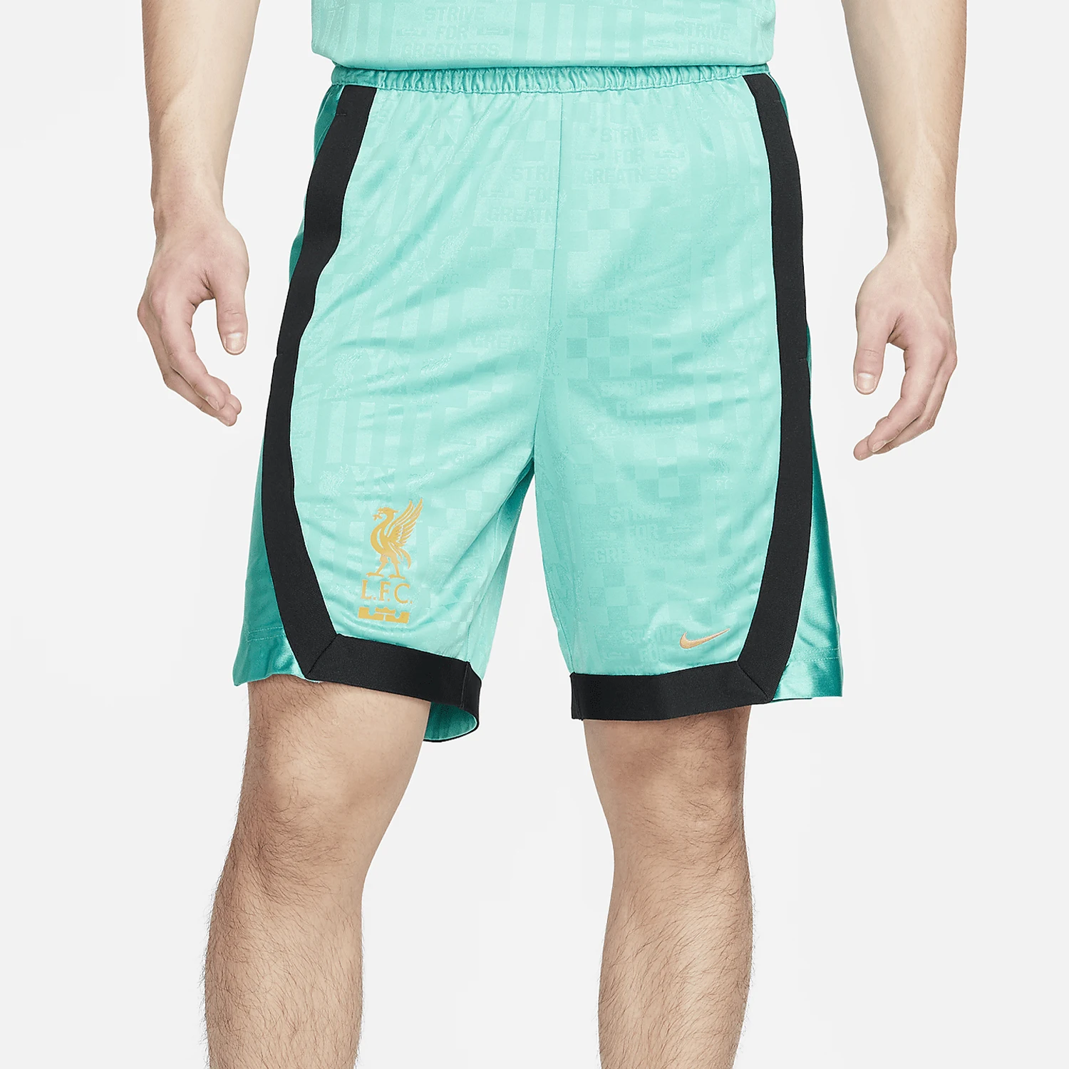 ナイキ正規品-dri-fit-dna-メンズ-ジェームス-バスケットボール-ショーツ-fn3013-392