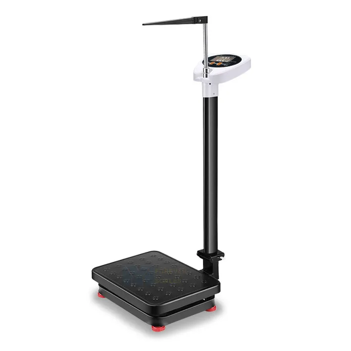 Human Fat Measuring  LCD Display Digital Medical Height and Weight