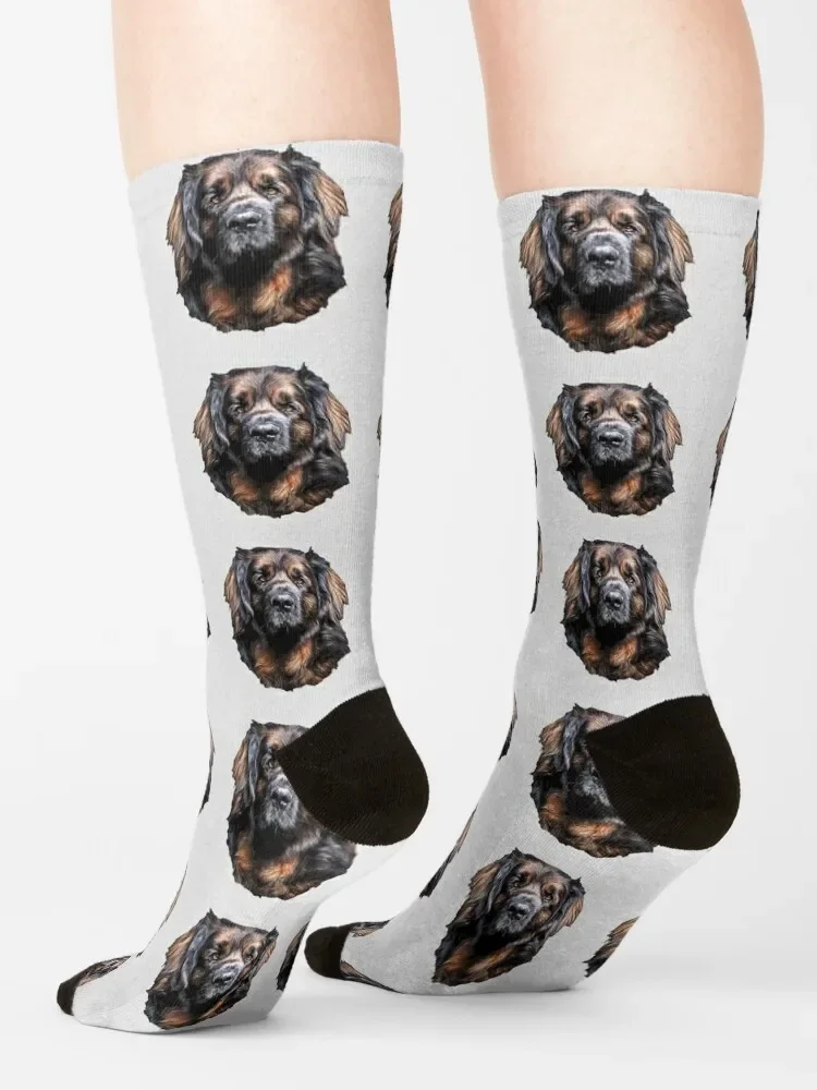 Leonberger - A stunning Dog! Socks winter hockey short designer Socks Man Women's