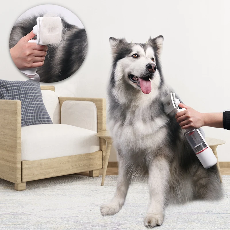 100W 14Kpa Portable Handheld Pet Vacuum Cleaner USB Rechargeable Multifunctional Pet Brush For Home Car Vacuum Cleaner