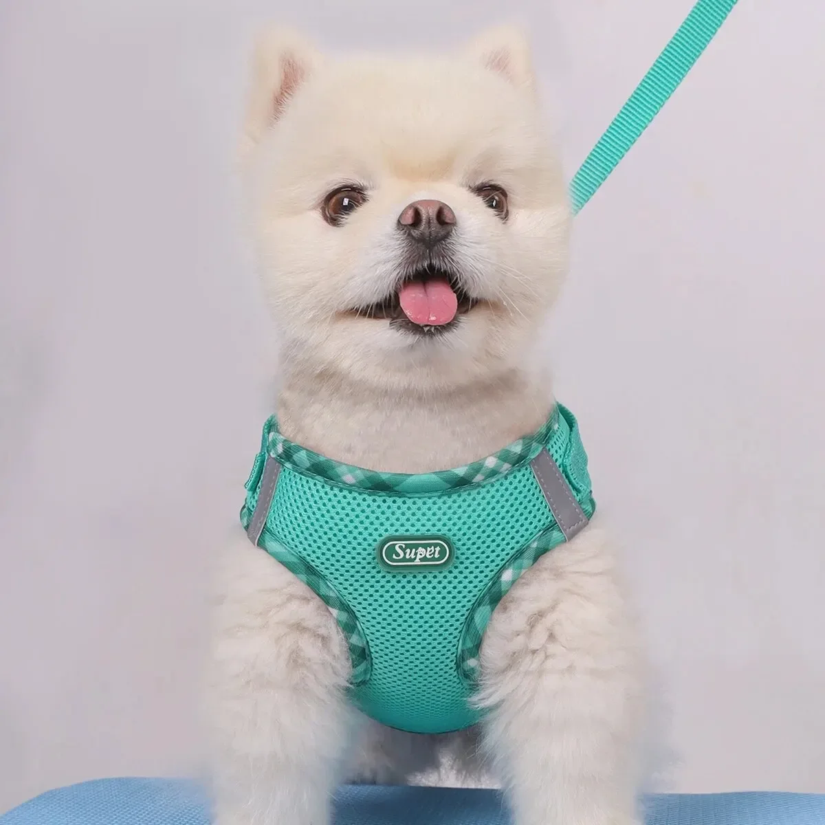 Supet 1pc Dog Harness, Anti-Pull, Pet Harness, Adjustable, Easy to Control, Suitable for Small, Medium Dogs