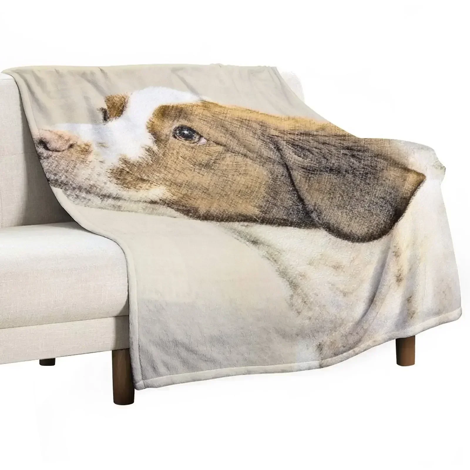 Brittany Throw Blanket Luxury Brand Moving heavy to sleep christmas decoration Flannel Fabric Soft Beds Blankets