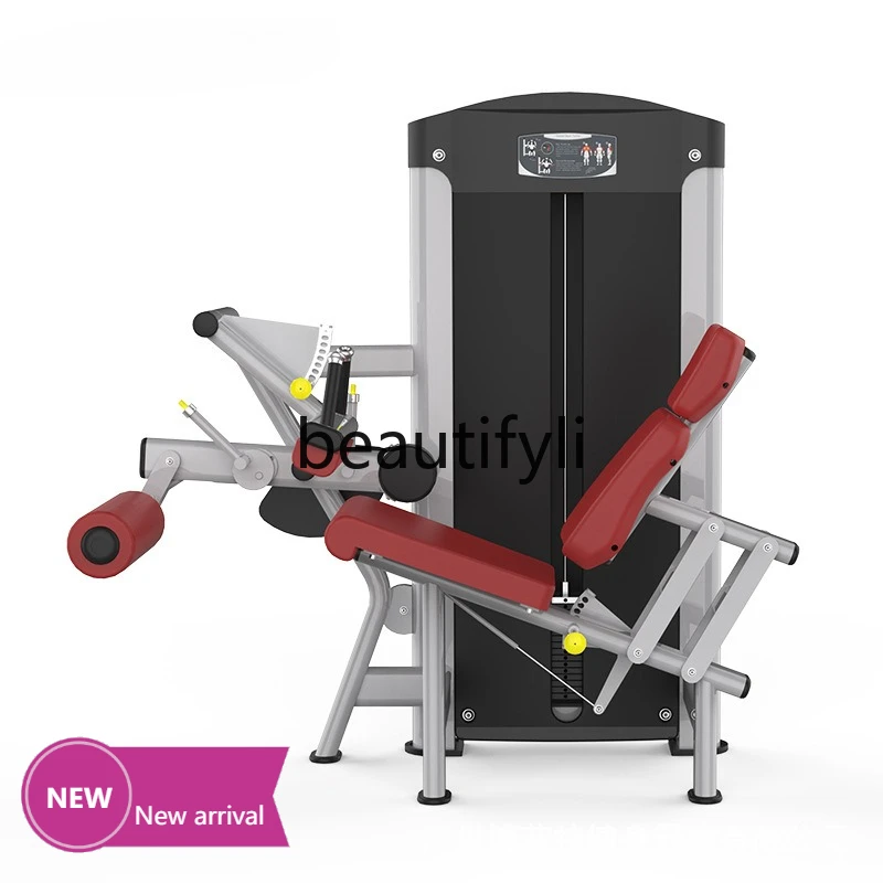 

Seated leg flexion and extension trainer, sitting, leg extension, fitness equipment