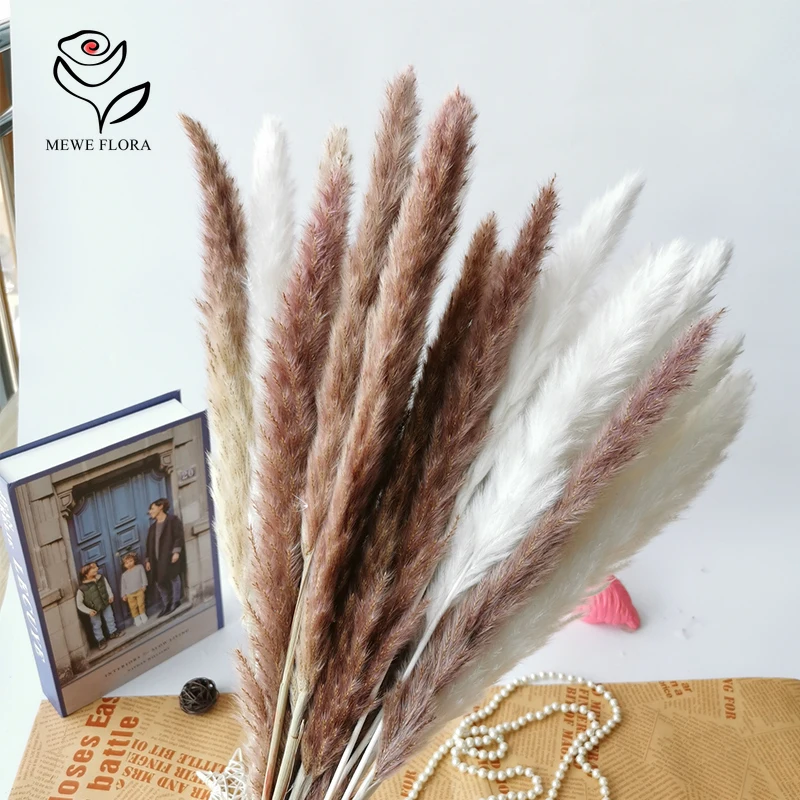 

Pampas Grass Natural Dried Flowers for Wedding Christmas Decoration Fluffy Reed Phragmites Bouquets Boho Home Decor Arrangements